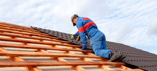 Best Hot Roofs  in Willard, MO